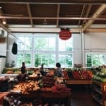 vg store 1 opt